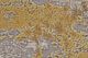 Feizy Waldor Gold/Birch 5' x 8' Rug-2