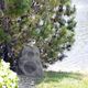 Klipsch® 6.5" Granite Outdoor Speaker-2