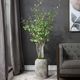 Uttermost® Aldis Aged Stone/Faux Moss Potted River Birch-1