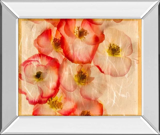 Classy Art Papaver Dreams III by Harold Davis Mirror Framed Wall Art-0