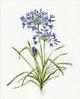 Classy Living Sally Swatland Blue Lively Botanical I Wall Art-1