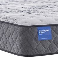 Sealy® Carrington Chase Wensley 12" Innerspring Firm Tight Top Twin Mattress-1
