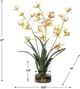 Uttermost® Spider Green/Yellow Orchid-3