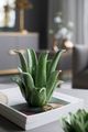 A & B Home Green 7" Candle Holder-3