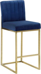Navy-Gold