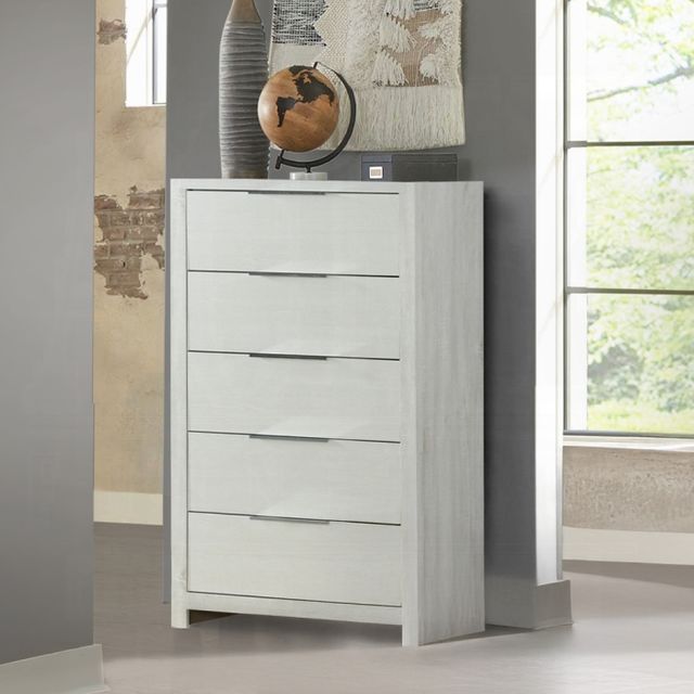 ACME Furniture Jehoram Beige Chest-1
