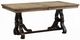 ACME Furniture Nathaniel Maple Dining Table with Brown Base-0