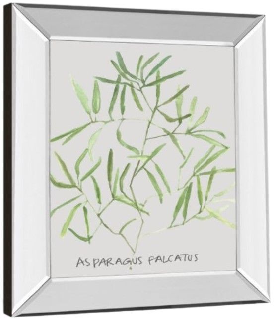 Classy Living Katrien Soeffers Asparogus Falcatus Wall Art-3