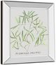 Classy Living Katrien Soeffers Asparogus Falcatus Wall Art-3