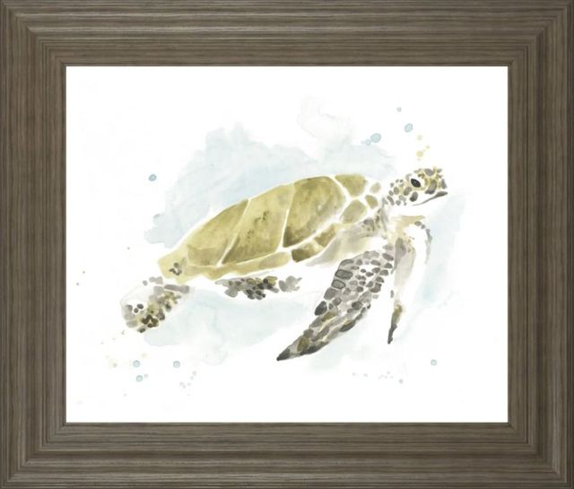 Classy Art Watercolor Sea Turtle Study I by June Erica Vess Wall Art-0