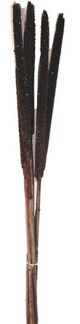 A & B Home Brown Cattails-0