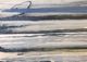 Stylecraft Black/Blue/Gray/Light Gray Wall Art-1