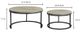 Moe's Home Collection Drey 2-Piece Grey Nesting Coffee Table Set with Black Metal Base-4