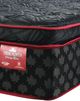 Springwall® True North Chiropractic® Whistler 14" Wrapped Coil Plush Pillow Top Twin Mattress-1