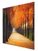 YHD Perfect Trail Wall Art-1