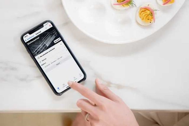 Smart dishwasher interface