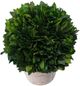 A & B Home Green/Red Washed 12" Holly Potted Ball-2