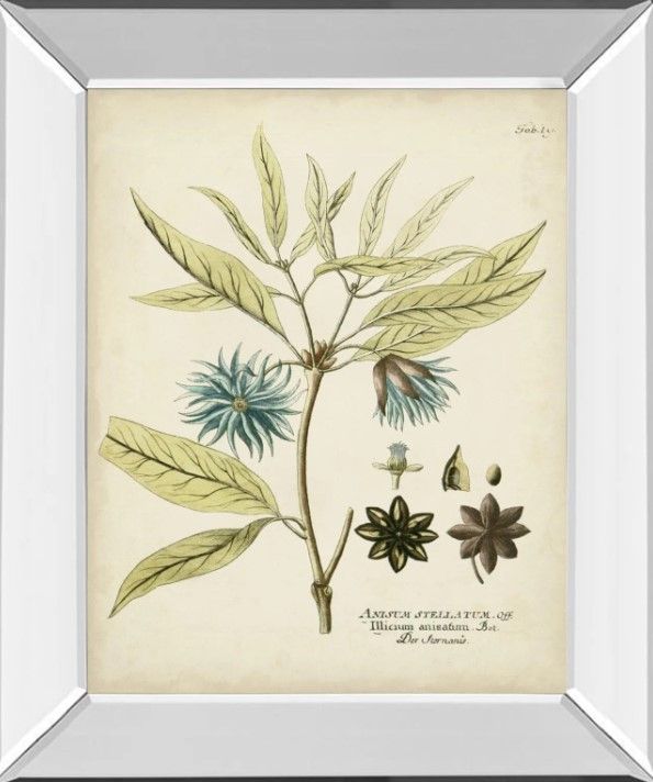 Classy Art Eloquent Botanical III by Vision Studio Mirrored Frame Wall Art-0