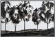 Stylecraft Tree Line Wall Art-0