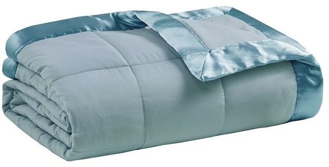 Olliix by Madison Park Blue All Season Hypoallergenic Microfiber Down Alternative Full/Queen Windom Blanket-0