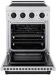 ZLINE Autograph Edition Paramount 24" Stainless Steel Pro Style Induction Range with Matte Black Accents-1