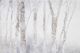 Renwil® Anouska Grey Printed Art-2
