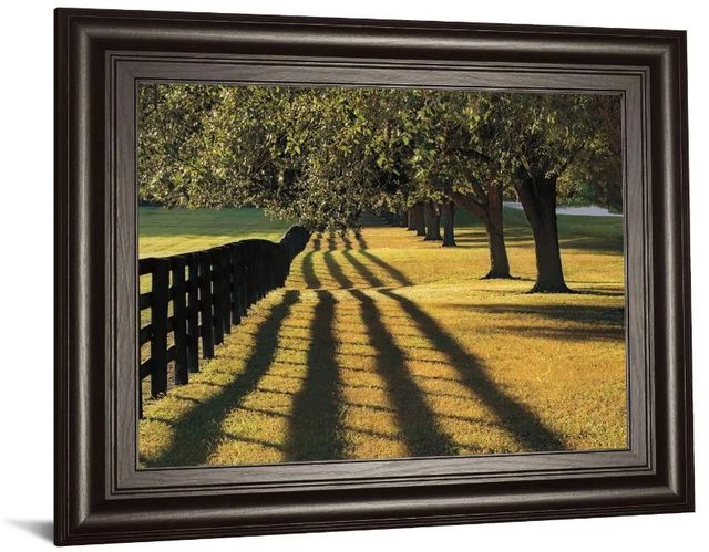 Classy Art Chasing Shadows by Mike Jones Framed Print Wall Art-1