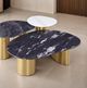 Furniture of America® Northwich Black/Gray Oval Coffee Table with Matte Gold Base-1