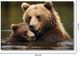 Classy Living Contemplative Bear Family Art Wall Art-2