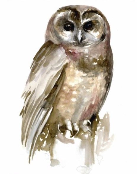 Classy Living Jennifer Paxton Parker Watercolor Owl II Wall Art-2