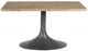Nest Home Collections Megan Medium Gray Dining Table with Iron Base-2