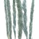 A & B Home Aqua Dried Natural Pampas Grass Bundle-2
