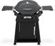 Weber® Q 2800N+ 2-Burner Charcoal Gray Tabletop Liquid Propane Gas Grill-0