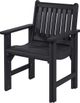 C.R. Plastic Generation Line Black Dining Arm Chair-1