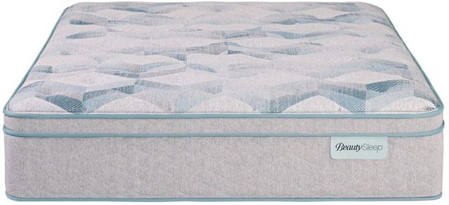 BeautySleep® Dream Weaver™ 14.25" Pocketed Coil Ultra Plush Pillow Top Queen Mattress-2