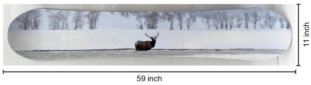 Classy Living Exhilarating Elk in Snowy Landscape Decko-Board Wall Art-2