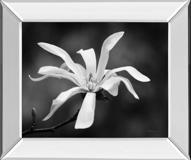 Classy Art Magnolia Dreams I by Geyman Vitaly Mirror Framed Wall Art-0