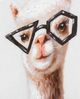 YHD Llama Play for You I Wall Art-4