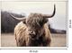 Classy Living Resiliant Majestic Highland Wall Art-2