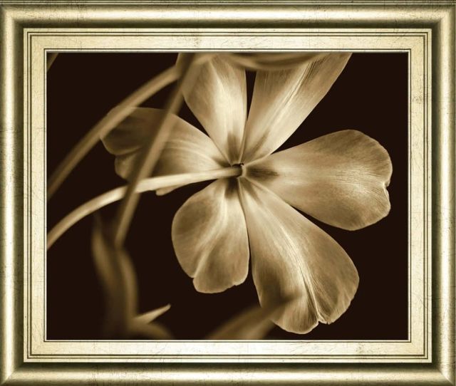Classy Art Copper/Gold Bella By Adrian Jendrasik Wall Art-1