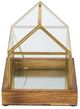 A & B Home Clear/Gold 8.5" Glass House Box-4