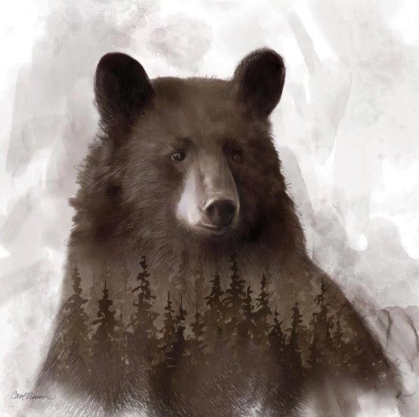 Classy Art Forest Bear by Carol Robinson Wall Art-0