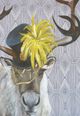 Stylecraft Moose Masquerade II Wall Art-1