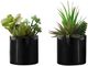 Monarch Specialties Inc. 2-piece 7" Artificial Succulent with Black Pot-0