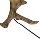 Pacific Coast® Lighting Norton Natural Moose Antler Lamp-3