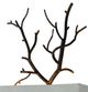 Forty West Mayfield White Sconce-2