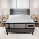 Sleeptone® Comfort Series 14" Hybrid Plush Euro Top Twin XL Mattress-2