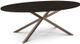 Amisco Customizable Asterisk Birch Oval Table with Metal Stand-0