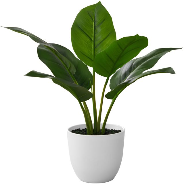 Monarch Specialties Inc. Green/White 17" Tall Artificial Potted Aureum-0