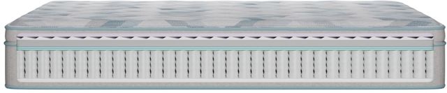 BeautySleep® Dream Weaver™ 14.25" Pocketed Coil Medium Pillow Top Twin Mattress-3
